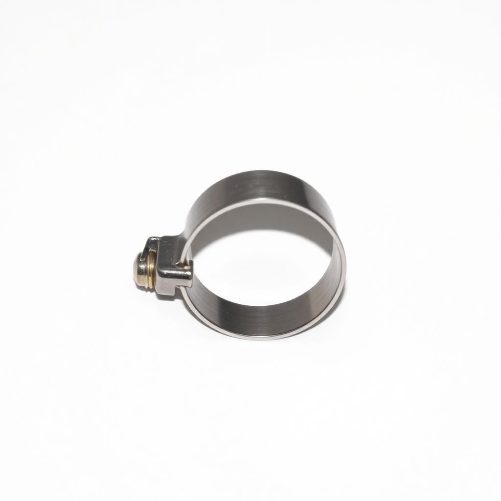 Hose Clamps
