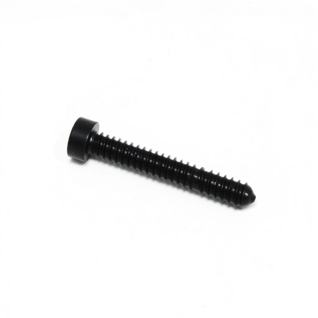 Socket Head Bolts