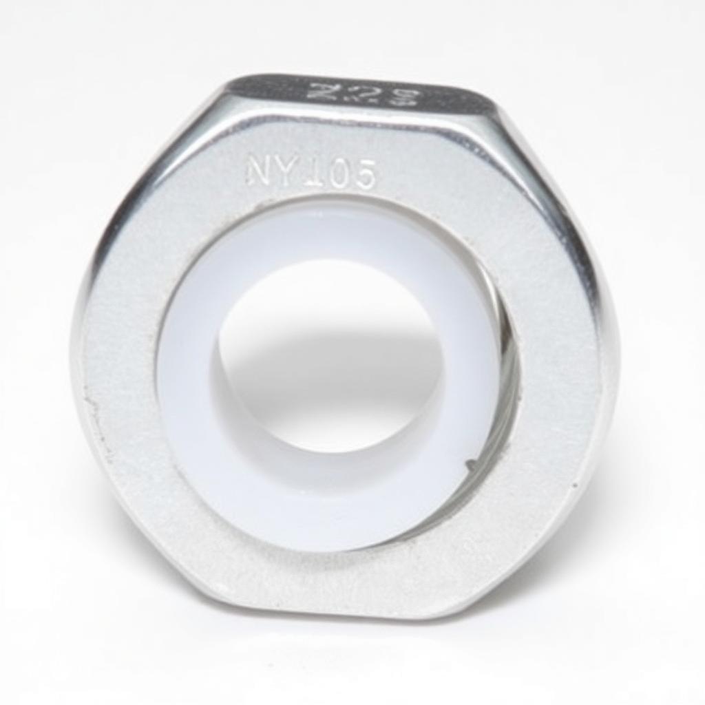 Nylon Insert (Nyloc)
